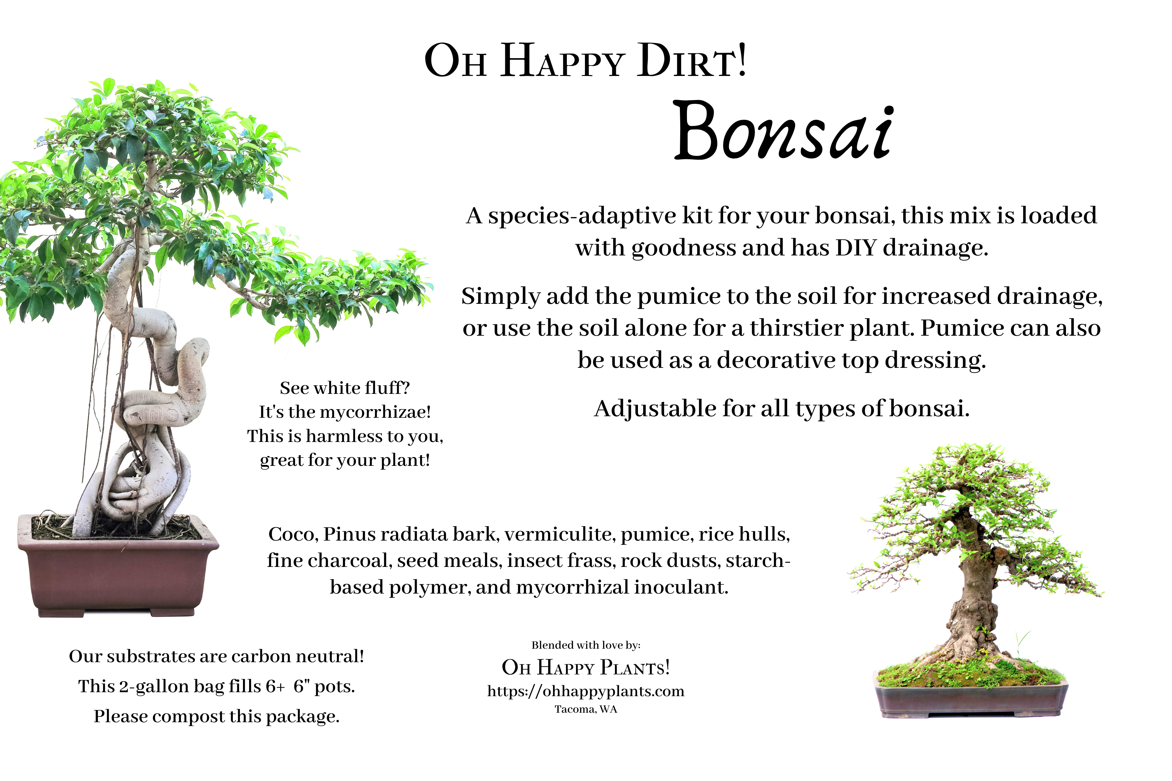 Bonsai – Oh Happy Plants!