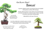 Bonsai