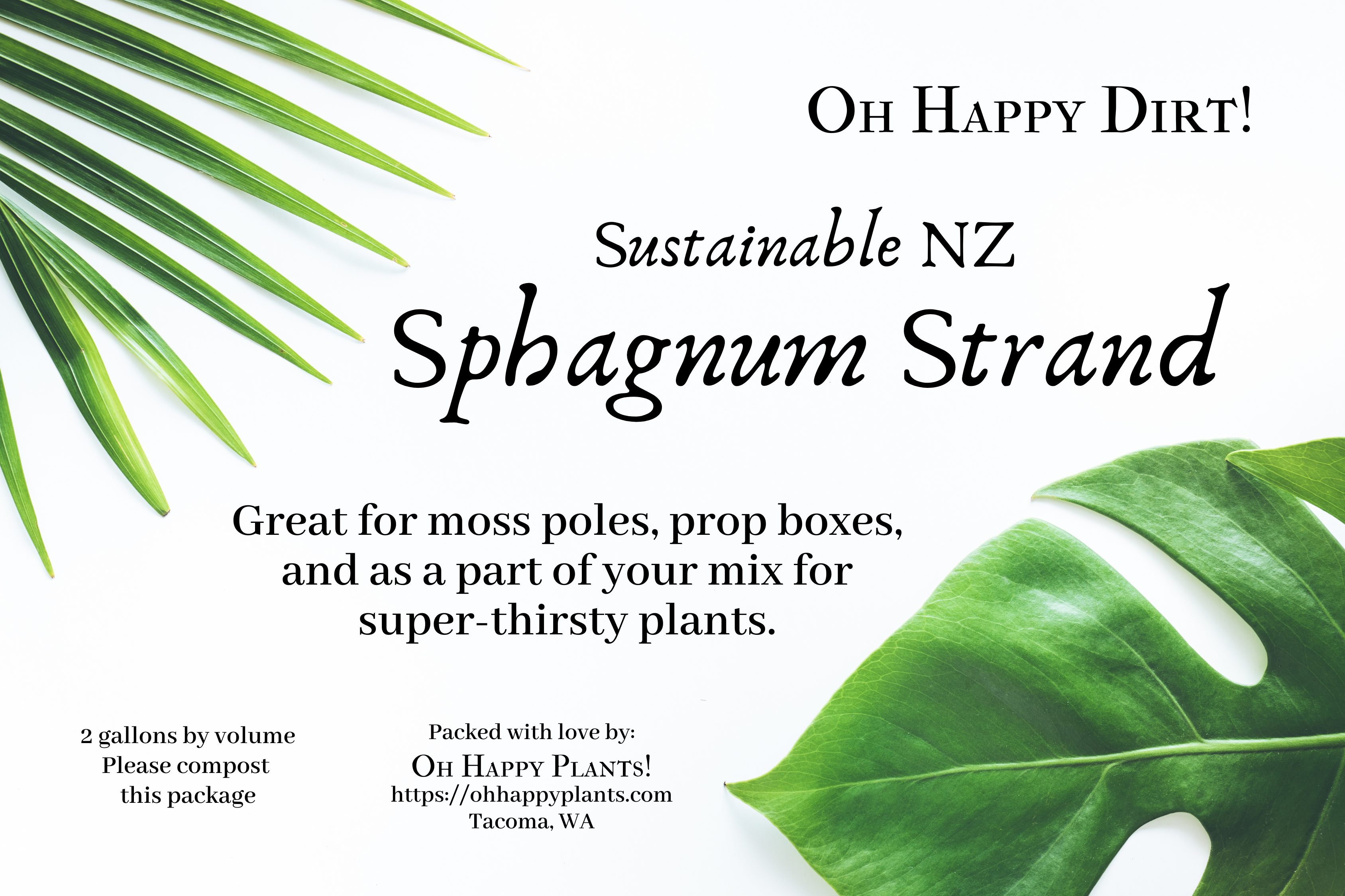 Sphagnum Strand – Oh Happy Plants!