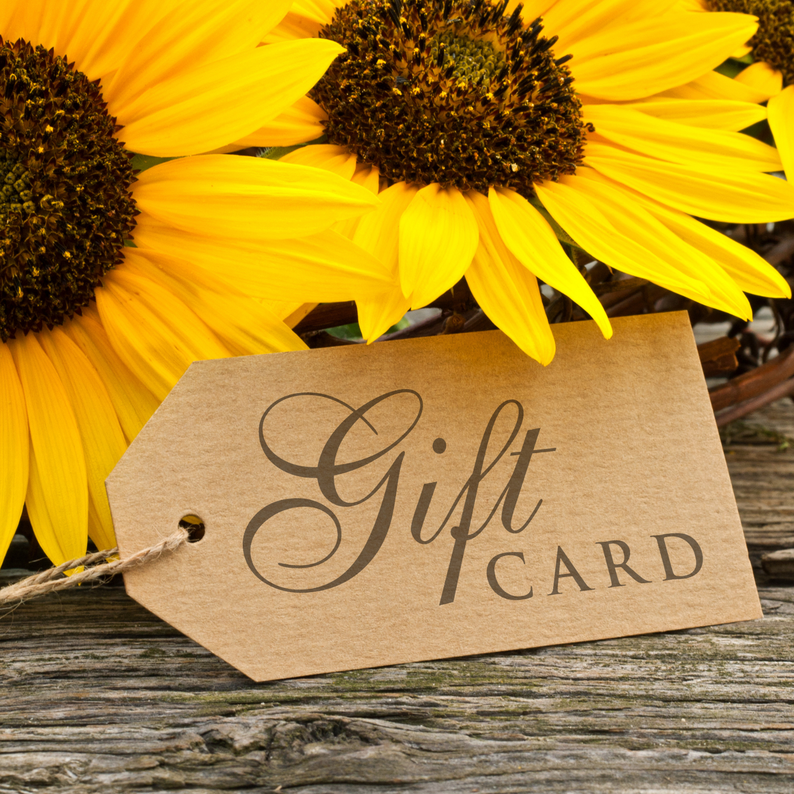 Oh Happy Plants gift card