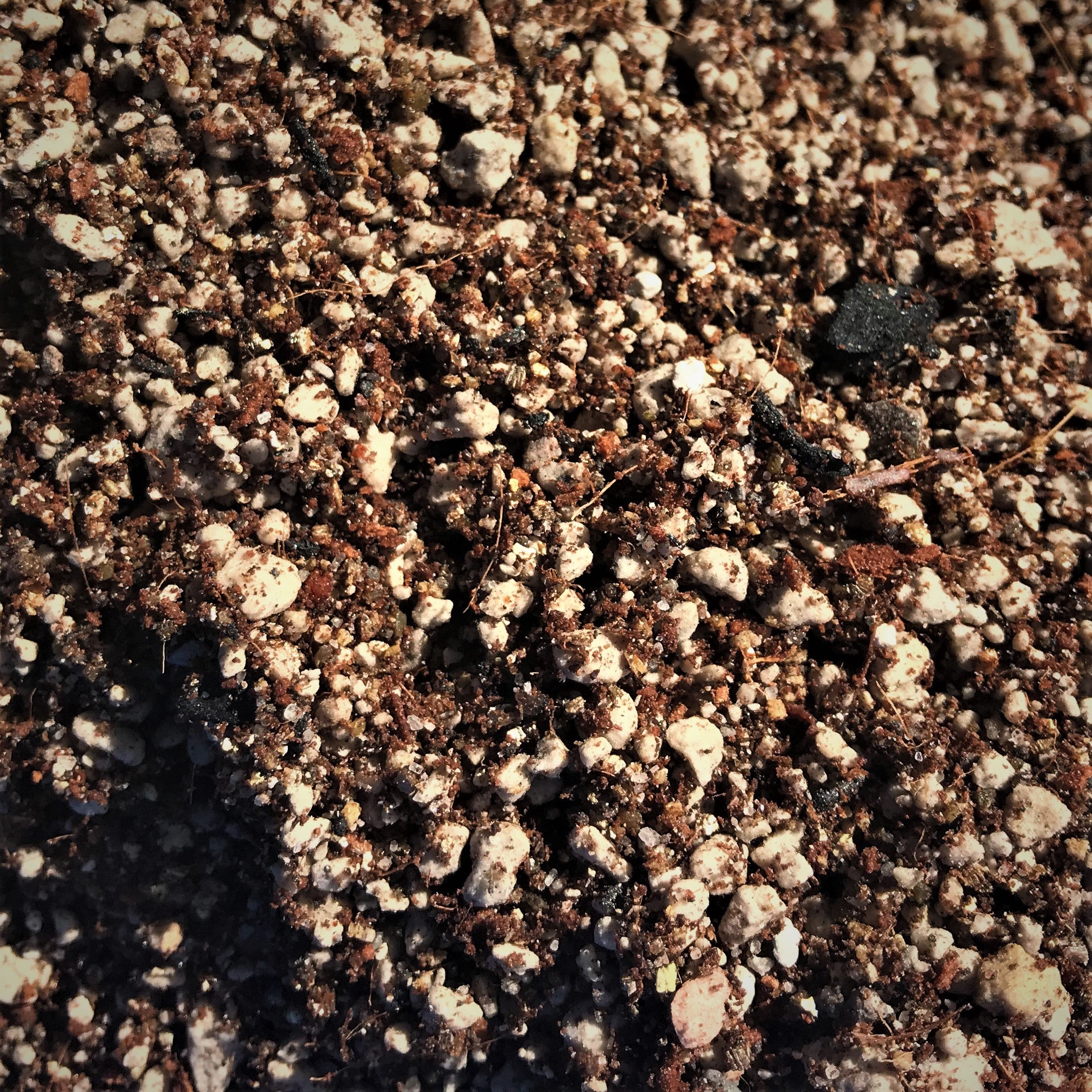 Desert Succulent soil blend