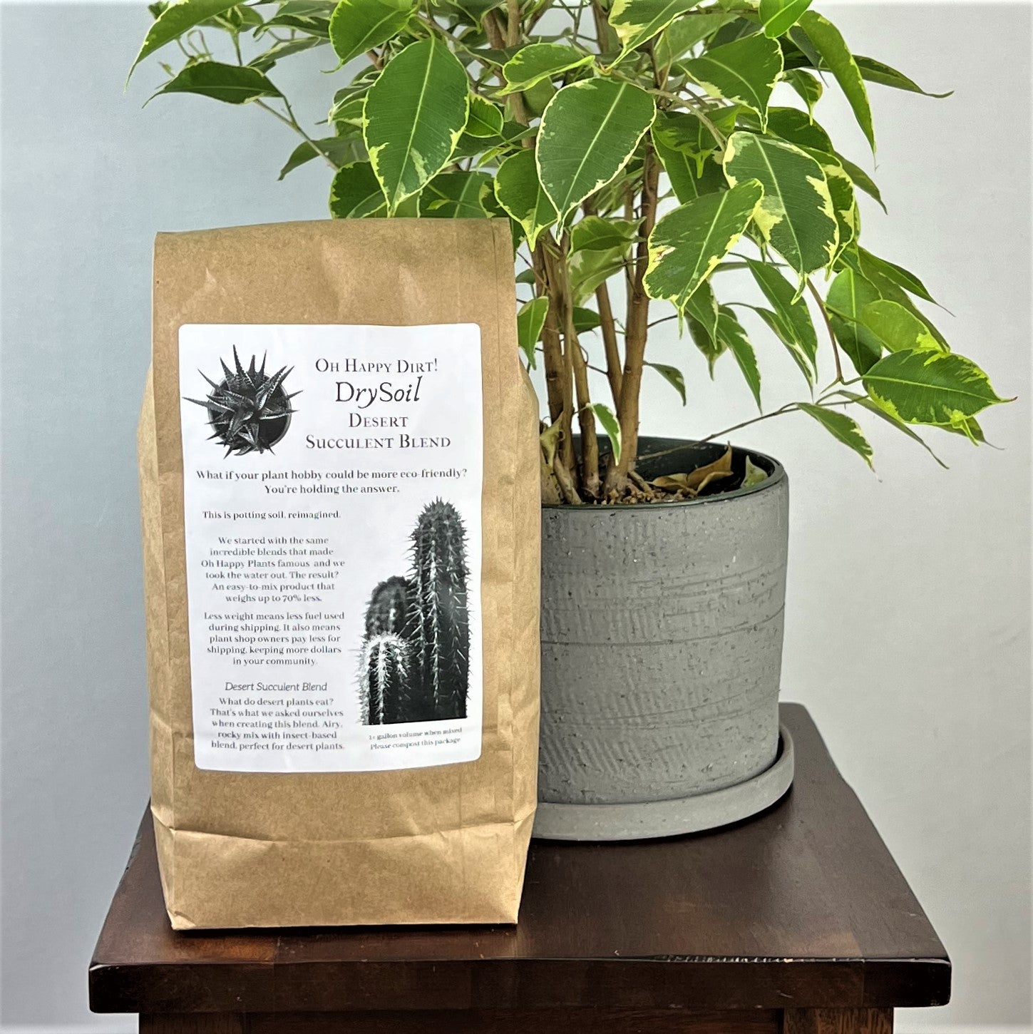 succulent soil blend Desert Succulent – Oh Happy Plants!