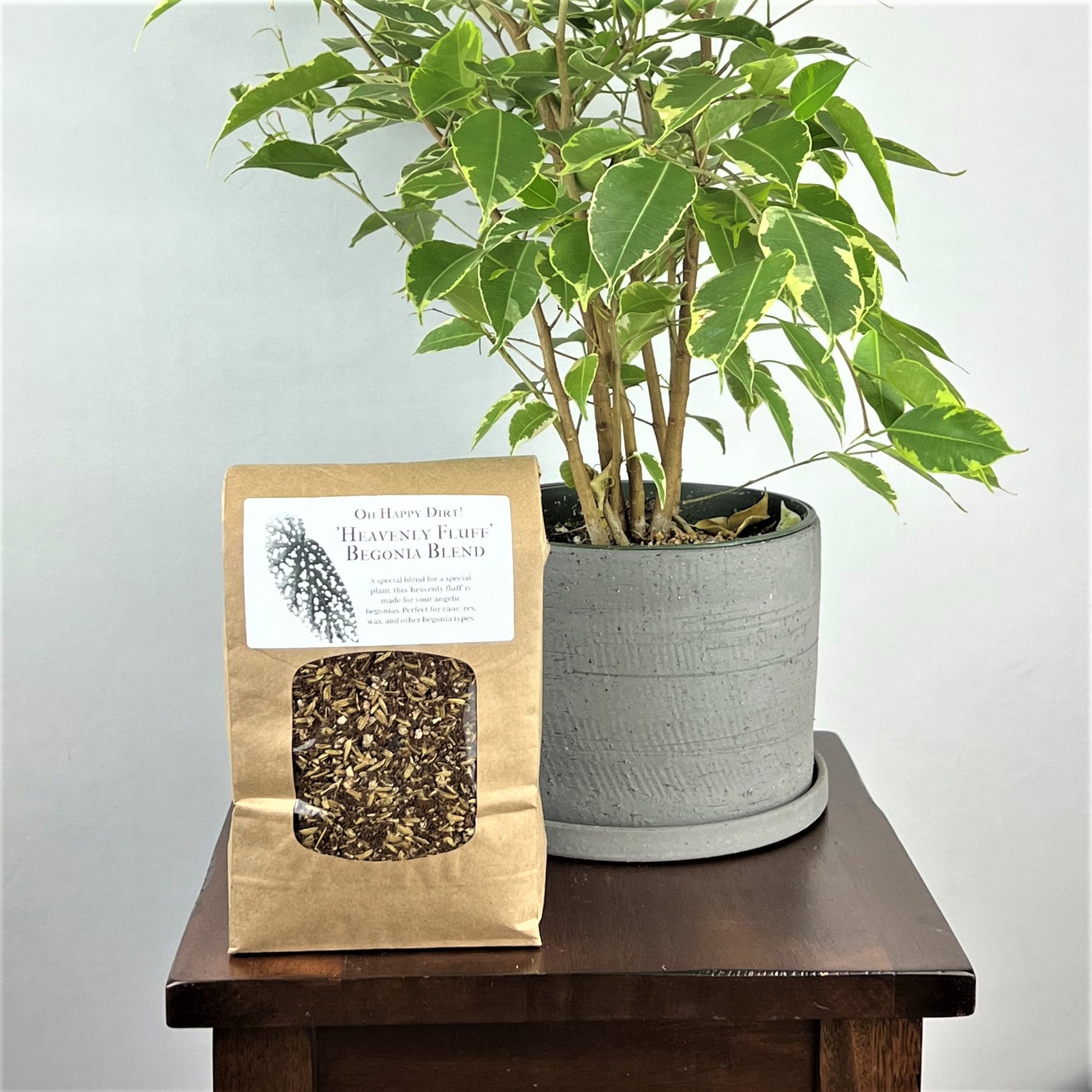 begonia potting soil mix Heavenly Fluff Begonia Blend – Oh Happy Plants!