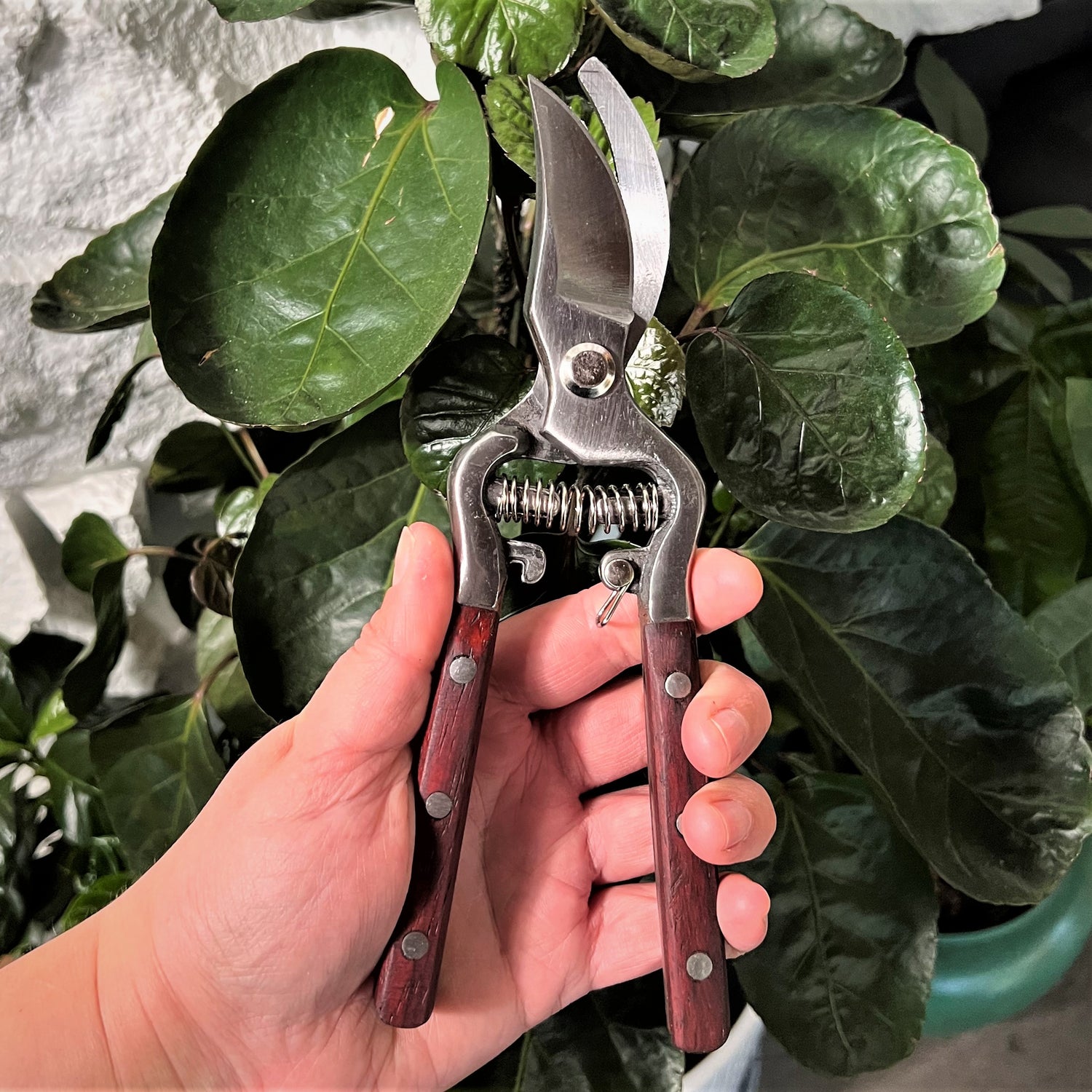 Bypass Pruners