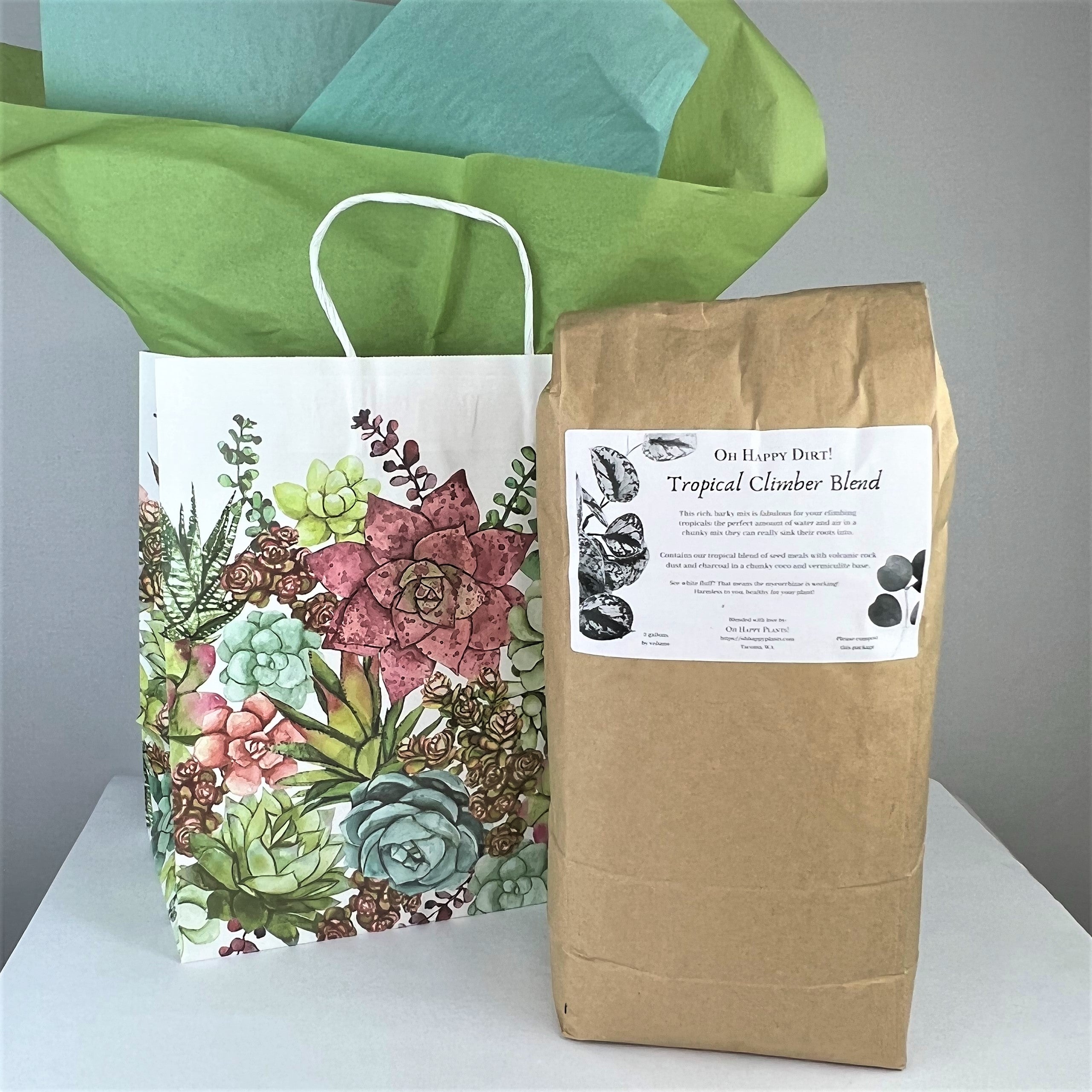 Succulent Gift Bags