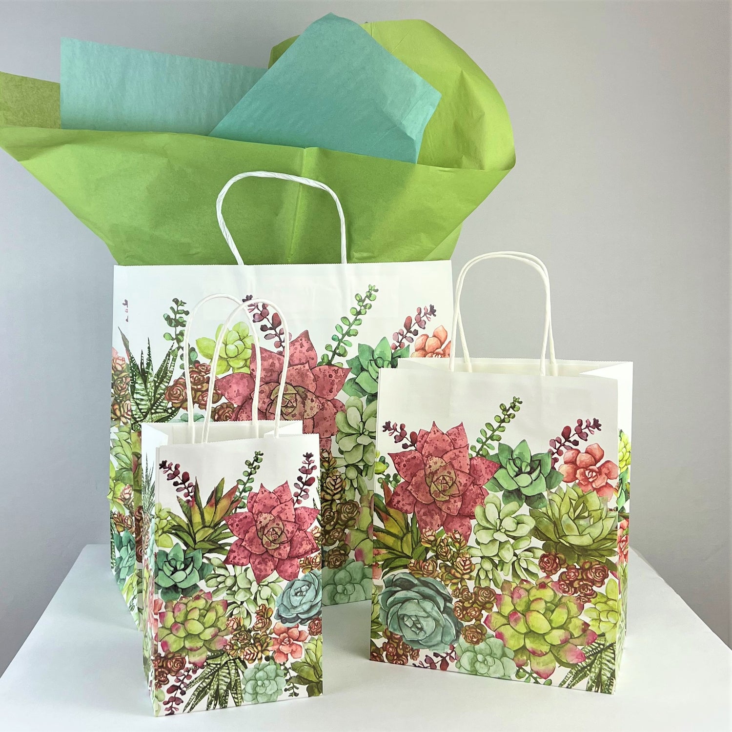 Succulent Gift Bags