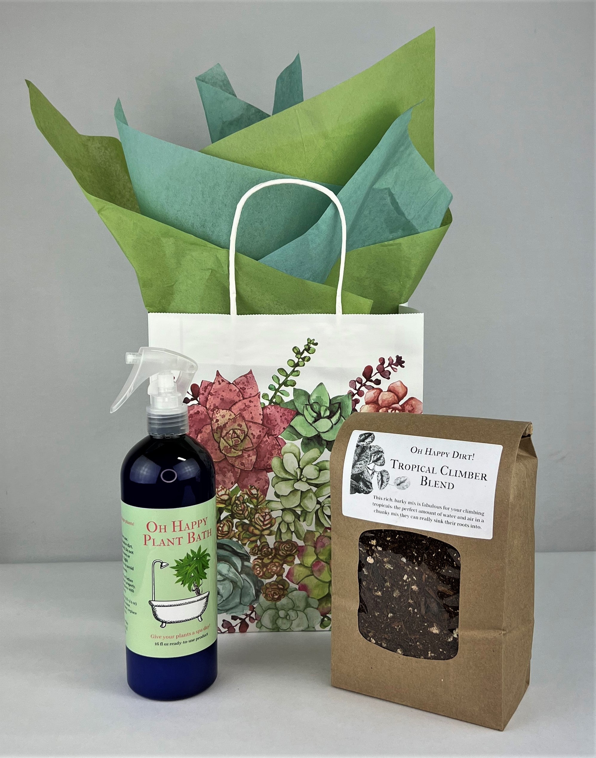 Succulent Gift Bags