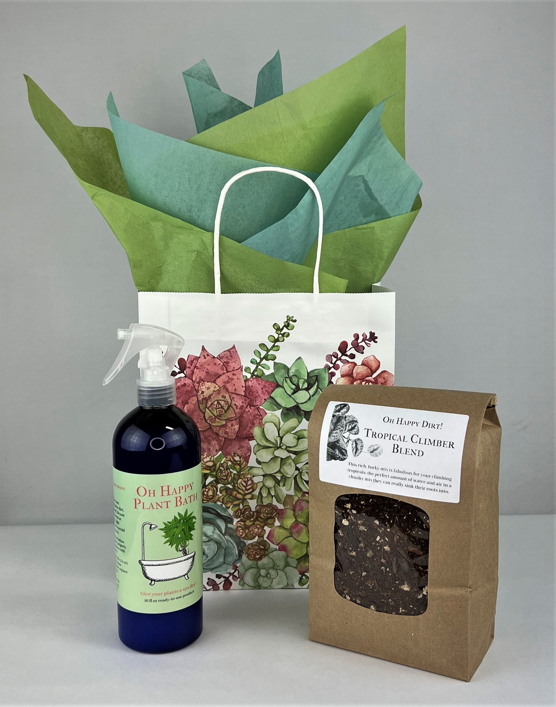 succulent gift bags Succulent Gift Bags – Oh Happy Plants!
