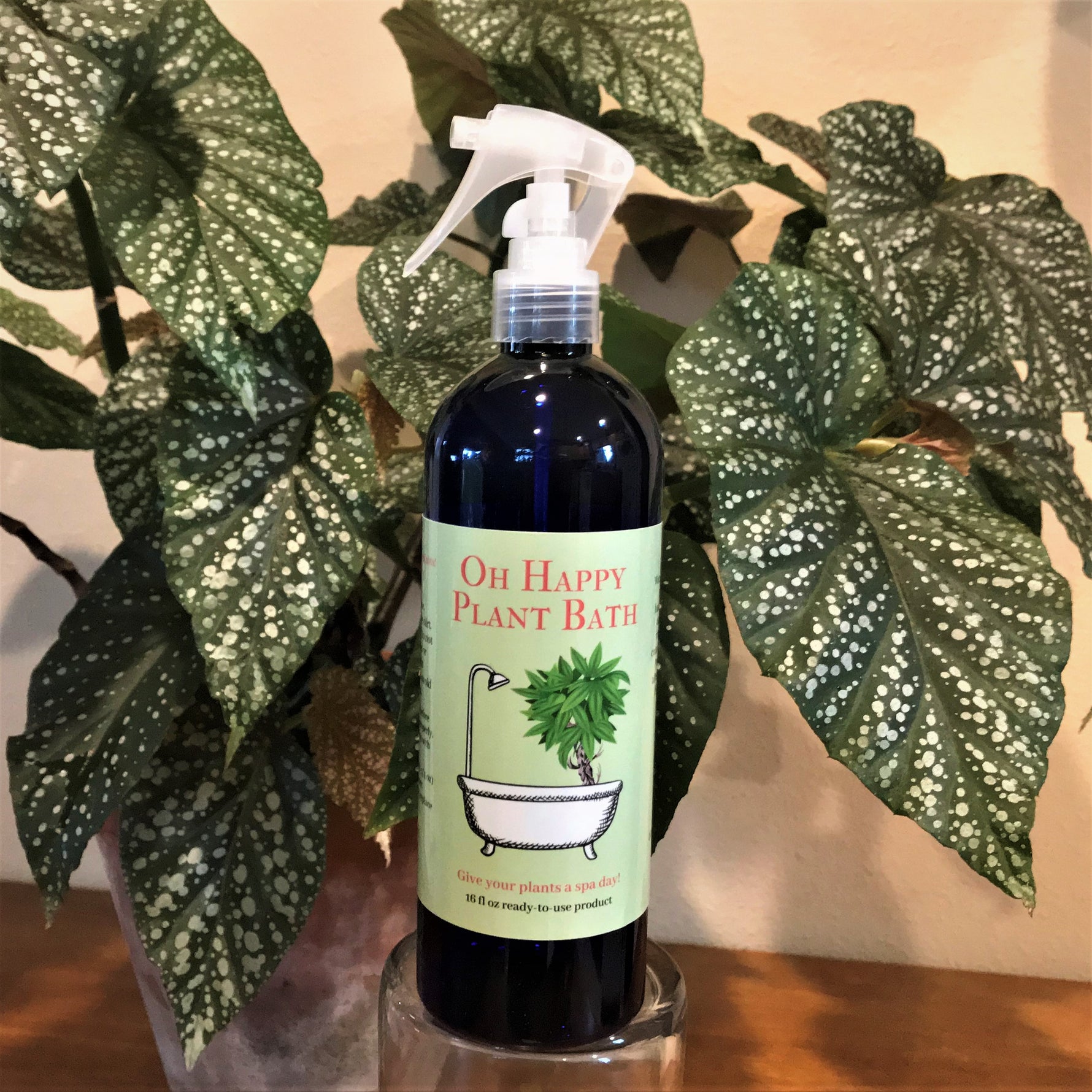 plant spray for indoor plants Oh Happy Plant Bath – Oh Happy Plants!