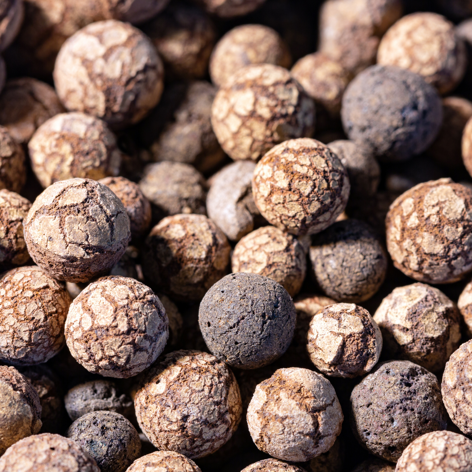 clay pebbles for succulents Clay Pebbles – Oh Happy Plants!