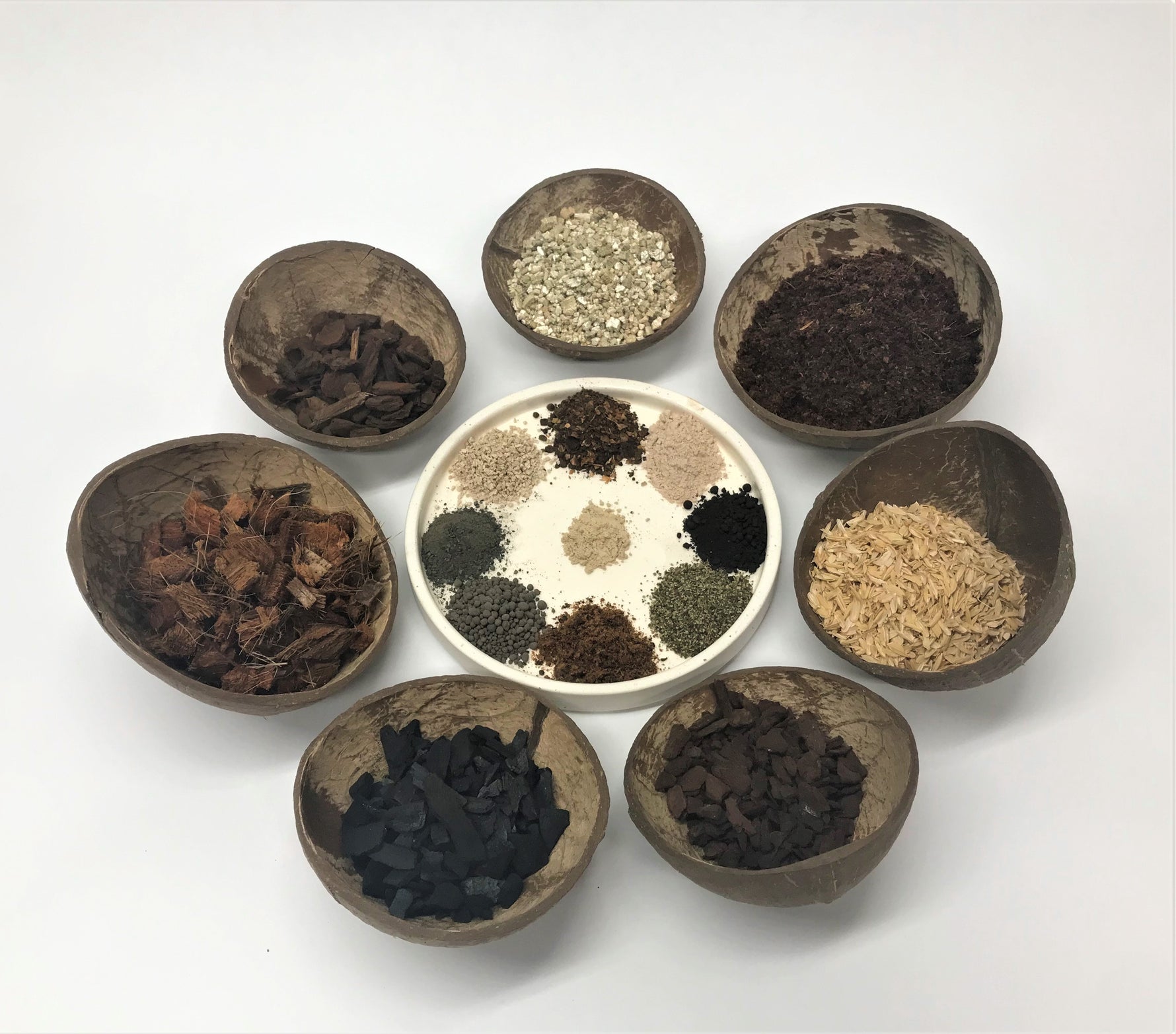 best soil for prayer plants Pray for Us – Oh Happy Plants!
