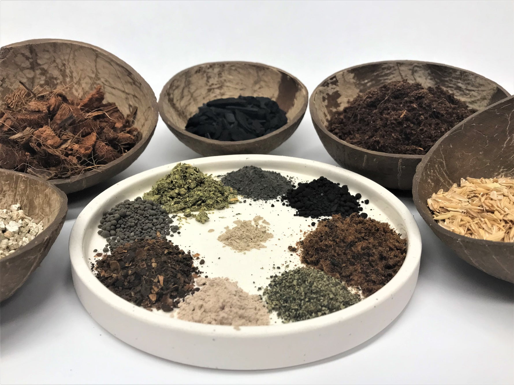 forest floor potting mix Rainforest Floor – Oh Happy Plants!
