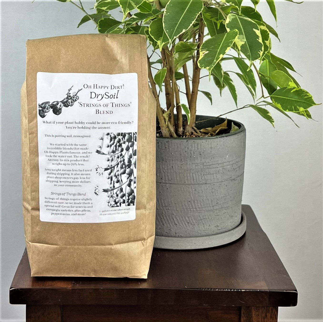 Strings of Things Oh Happy Plants!