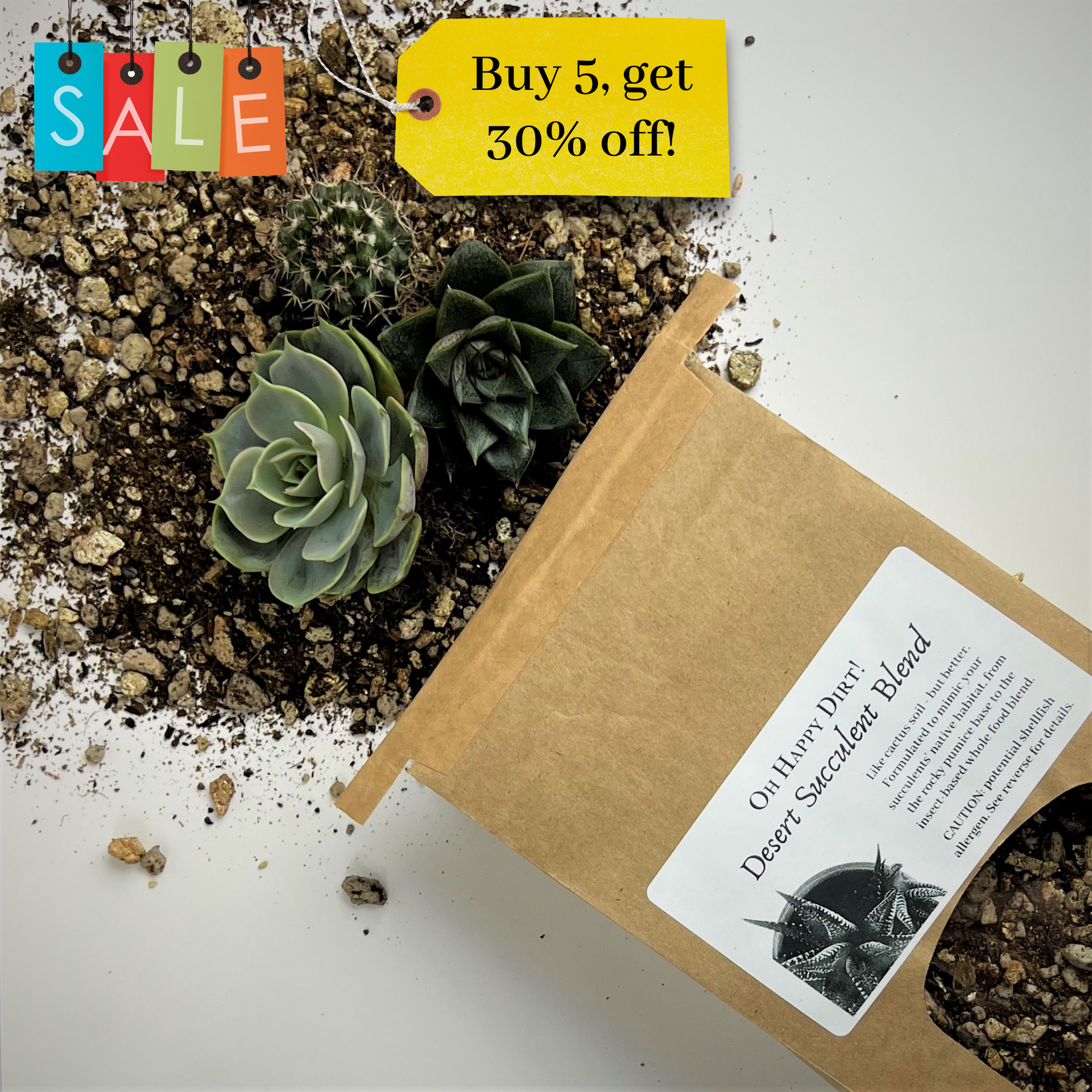 succulent soil blend Desert Succulent