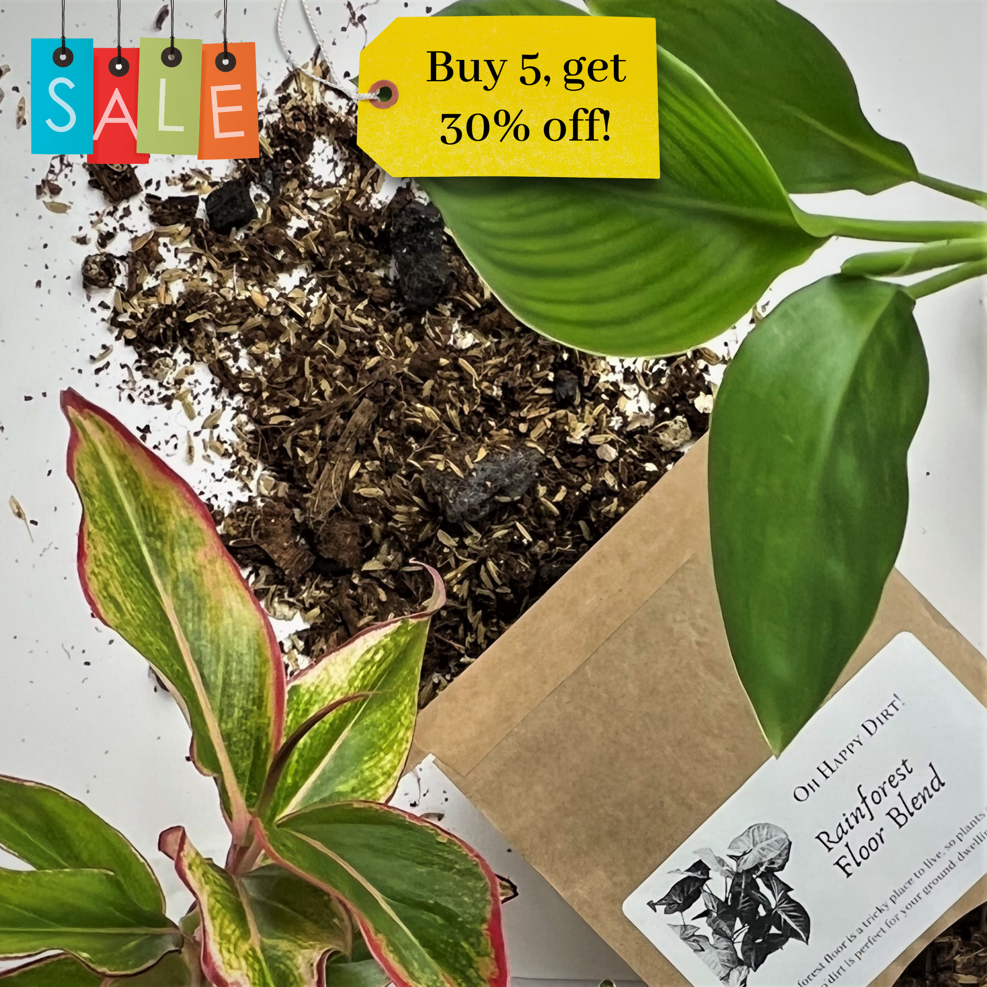 forest floor potting mix Rainforest Floor