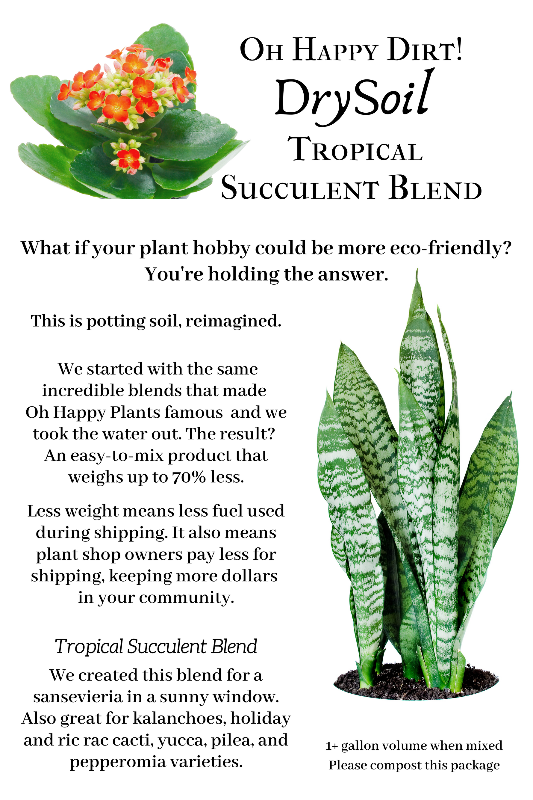 succulent hobby DrySoil