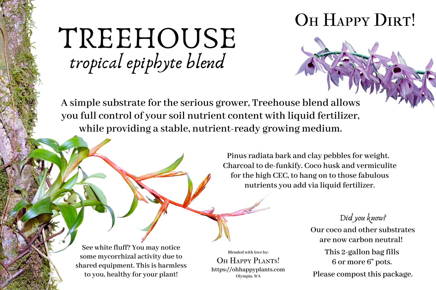 TREEHOUSE Tropical Epiphyte Blend