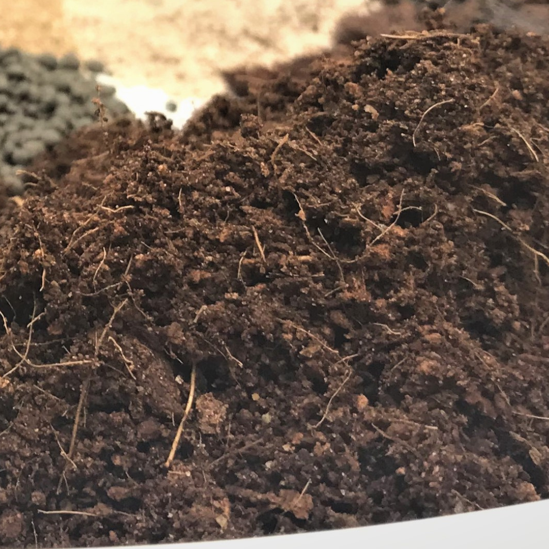 Coco Coir (Shredded)