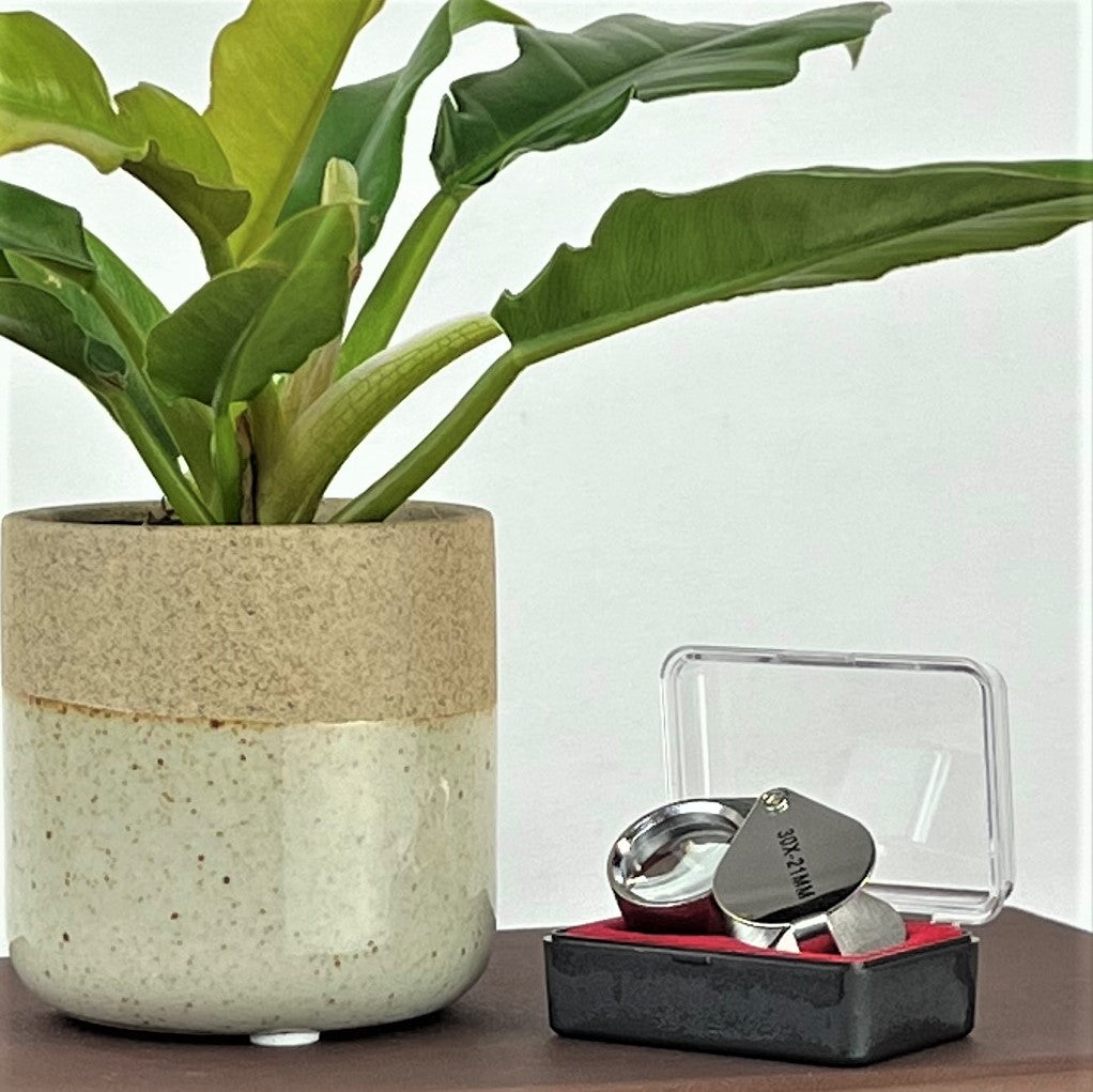 Plant hack! Get a jewelers magnifying glass to see plant pests