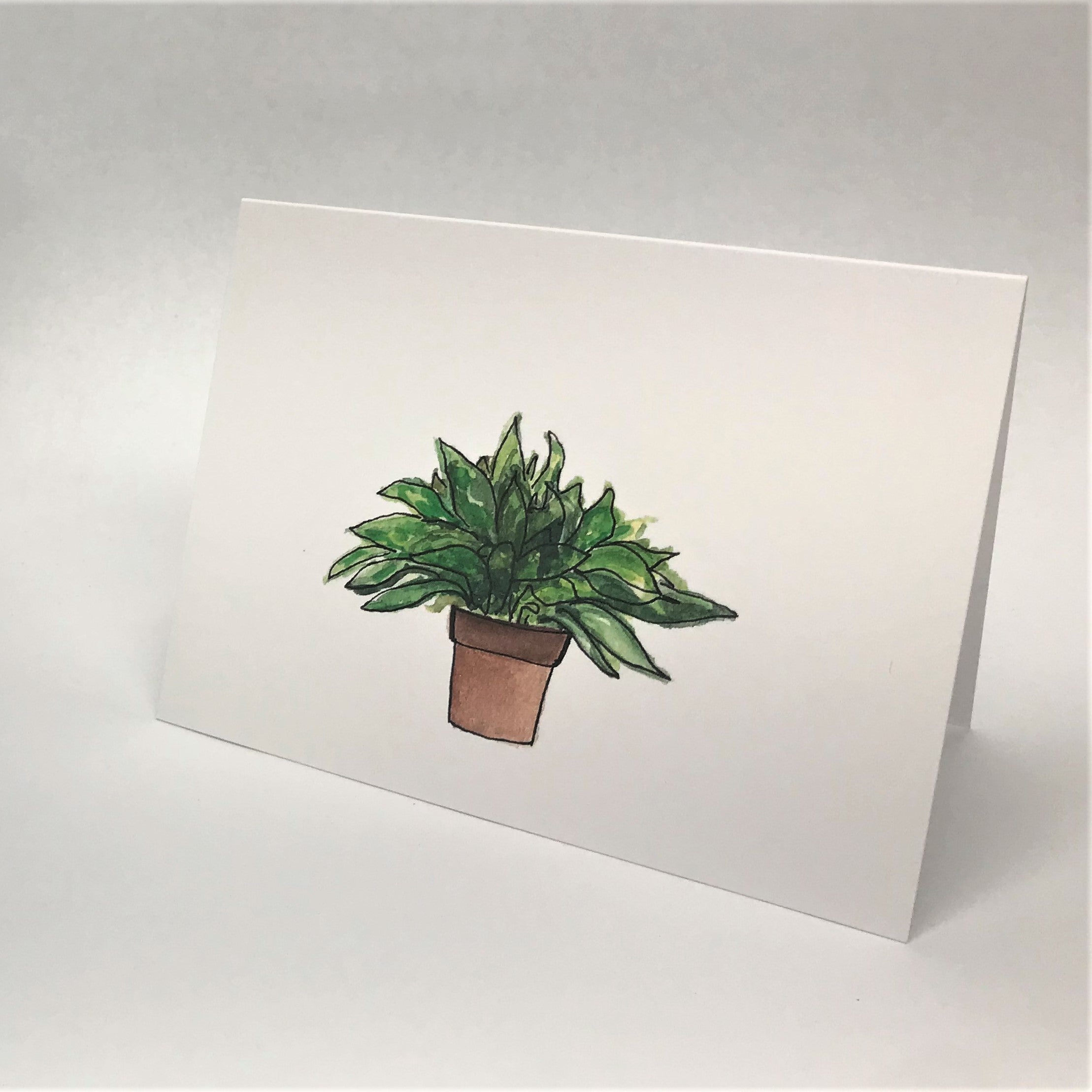 Handpainted Houseplant Greeting Cards