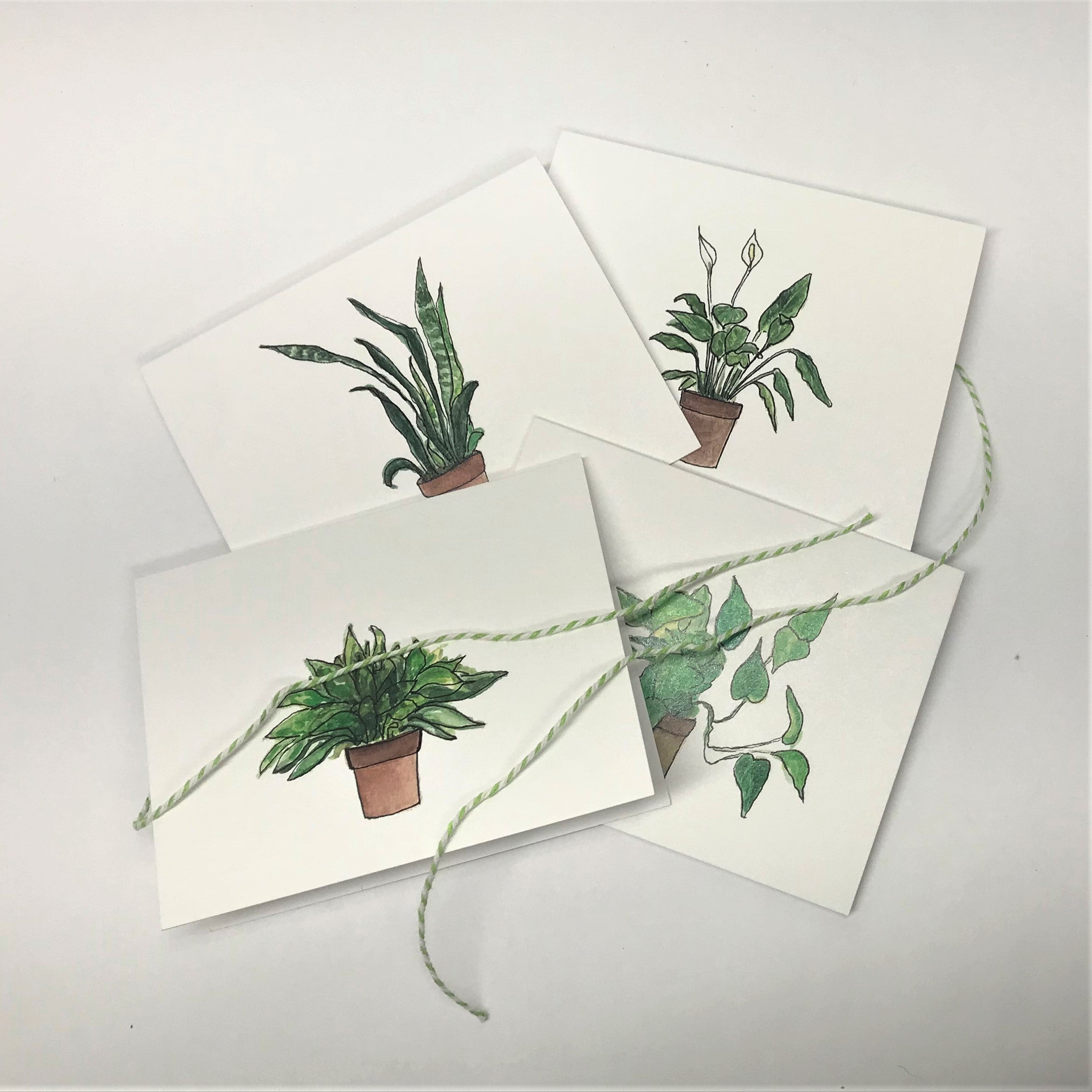 Handpainted Houseplant Greeting Cards