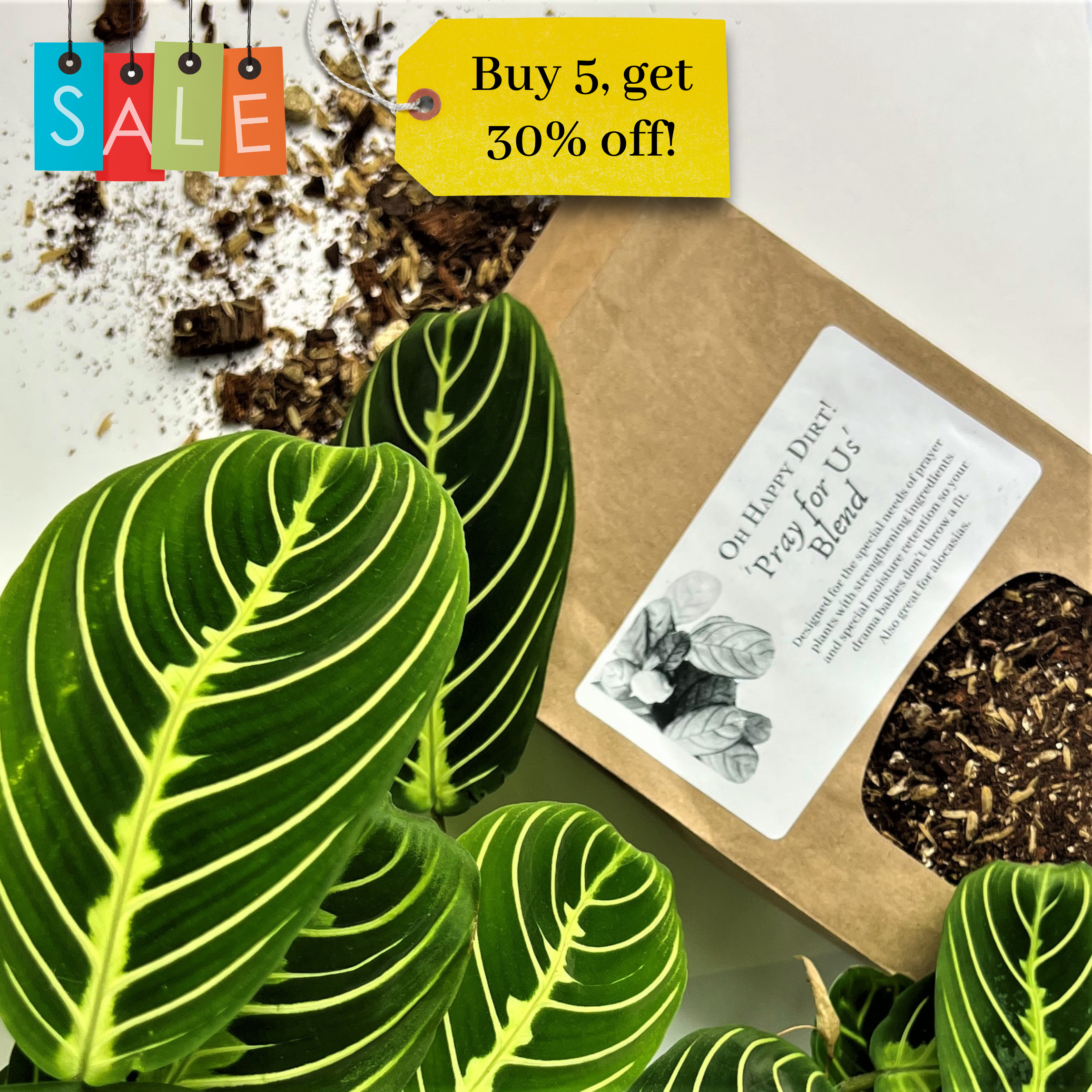Pray for Us soil blend – Oh Happy Plants!